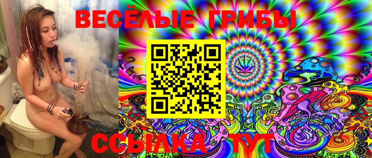 Галлюциногенные грибы MAGIC MUSHROOMS  Вход с VPN  Десногорск 